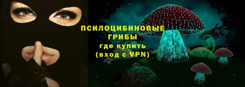 цены   shop состав  Псилоцибиновые грибы Cubensis  Николаевск-на-Амуре 